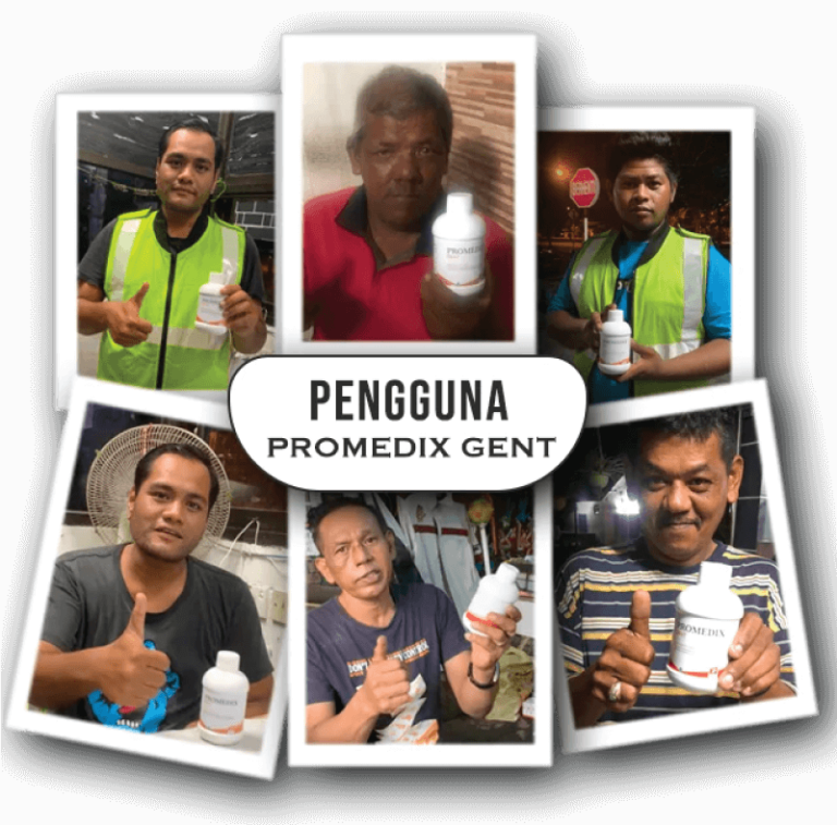 PENGGUNA-1-768x757-1.png